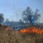 Пожежі на Черкащині: за добу згоріло майже 7 гектарів екосистем