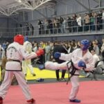 Черкаські таеквондисти вибороли місце серед еліти України та готуються до Європи