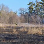 П’ять пожеж за добу: рятувальники Черкащини б’ють на сполох через людську необережність
