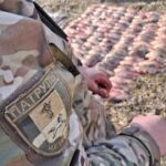 Понад мільйон збитків: на Черкащині затримали браконьєрів із великим уловом