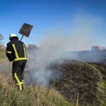 Вогонь щодня забирає гектари: на Черкащині палає сухостій