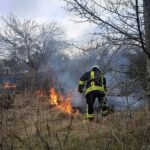 За добу — шість пожеж: як горіли екосистеми Черкащини