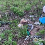 Постріл у селі: на Черкащині відкрили кримінальне провадження через вбивство собаки