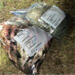 На Черкащині викрили браконьєра з уловом на 36 тисяч: у мішку — десятки рибин і сітки