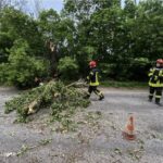 Черкащину накрила негода: дерева валилися на дороги, рятувальники п’ять разів за день виїжджали на виклики