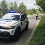 Дорогу повністю перекрило повалене дерево: як поліцейський у Степанецькій громаді за лічені хвилини відновив рух транспорту