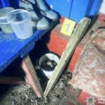«Увірвалися до будинку і побили 86-річну жінку»: на Черкащині затримали двох підозрюваних у жорстокому розбої