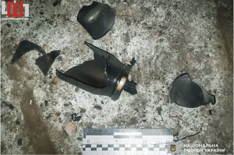Після нападу собак — нічний підпал: уманчанину загрожує до 10 років ув’язнення