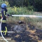 За добу на Черкащині сталося 9 пожеж сухостою: більшість через необережність курців