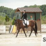 Черкаські вершники вибороли шість нагород на Чемпіонаті України з кінного триборства
