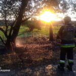 На Черкащині за добу сталося 15 пожеж в екосистемах: вогонь перекинувся на господарські споруди