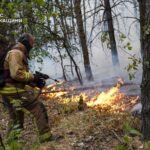 На Черкащині масштабна лісова пожежа: вогонь охопив 100 гектарів, залучено понад 200 рятувальників