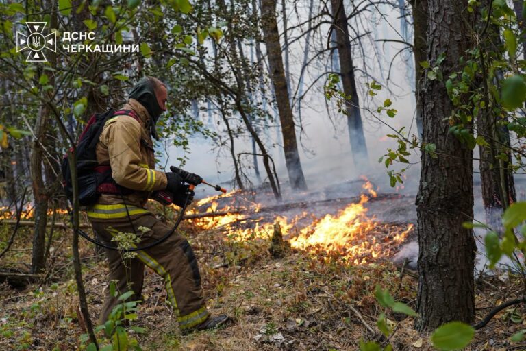 На Черкащині масштабна лісова пожежа: вогонь охопив 100 гектарів, залучено понад 200 рятувальників
