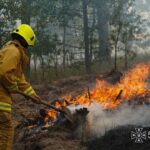 Лісову пожежу на Черкащині, яка тривала сім днів, ліквідували: вогонь охопив понад 227 гектарів