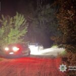 Смертельна ДТП на Уманщині: нетверезий водій з’їхав у ставок, загинула жінка
