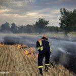 На Черкащині за добу сталося 25 пожеж: вогонь знищив понад 5 гектарів сухої рослинності