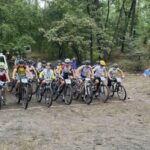 Черкаські спортсмени здобули золото, срібло та бронзу на чемпіонатах України