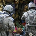 На Черкащині під час спецоперації «Джентльмени» вилучили понад 700 кущів конопель
