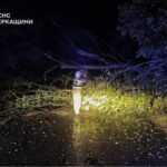 Негода повалила дерева на дороги Золотоніщини: рятувальники тричі розчищали автошляхи