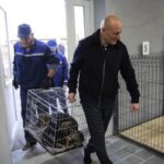 У Черкасах відкрили оновлений опалювальний корпус для 80 собак: кого першочергово поселять на зиму